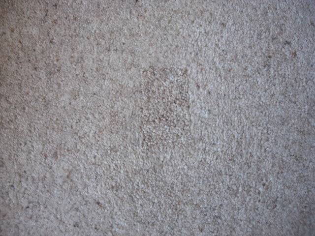 DSCN3261.jpg