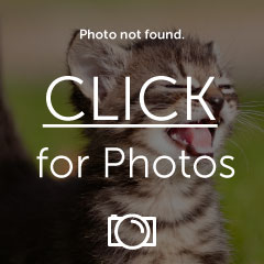 th_c7adf686.jpg